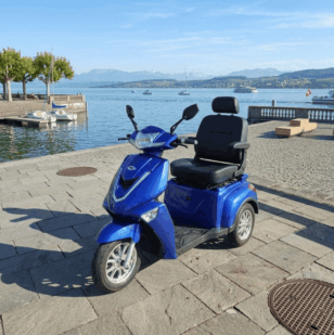 Umweltfreundlich mobil unterwegs Nio 3 neu 3500 CHF